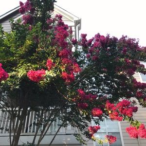 Meet your Posher, Mariam